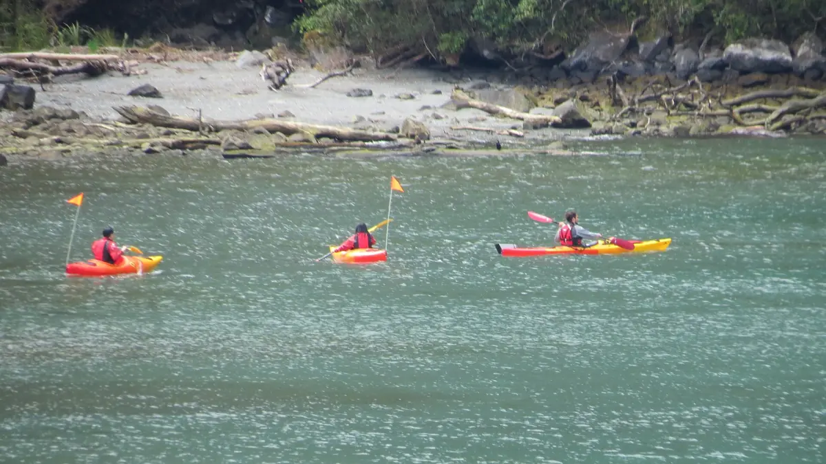 Kayakers paddling in Milford Sound