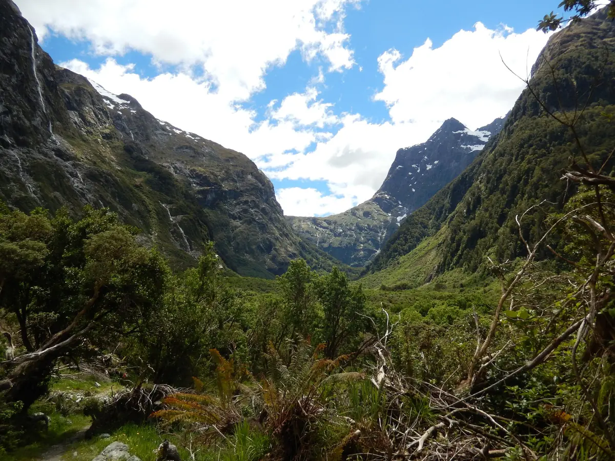 The Milford Track near Mackinnon Pass