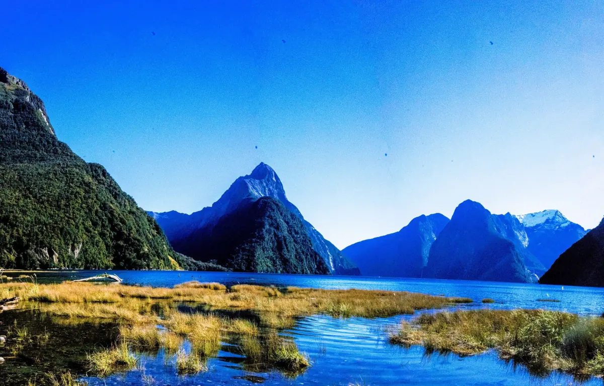Mitre Peak rising above Milford Sound